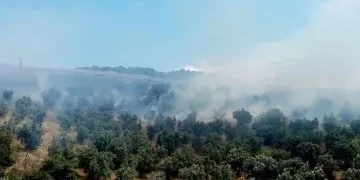 Bursa’da makilik alanda çıkan yangın söndürüldü