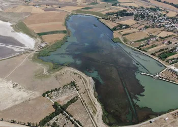 Göl yosunla kaplandı