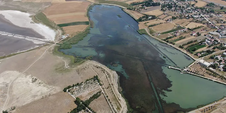 Göl yosunla kaplandı