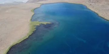Gölün soğuk suyunda serinlediler