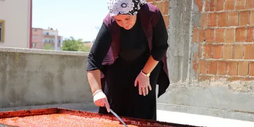 Ekmek paralarını acıdan çıkarıyorlar