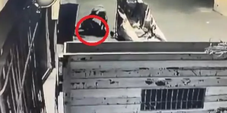 Biri çöp kovasını, diğeri rögar kapağını çaldı