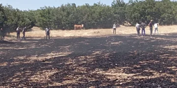 Çıkan anız yangını paniğe sebep oldu