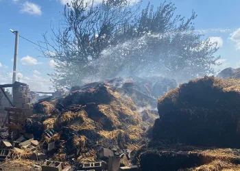 Yangında 800 saman balyası küle döndü