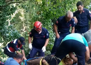 Erdek’te orman işçisi dere yatağına düştü