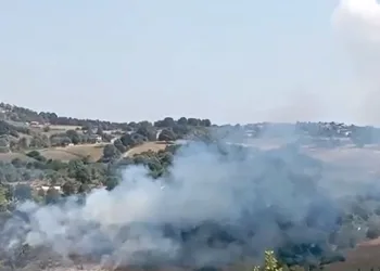 Yalova’da korkutan anız yangını