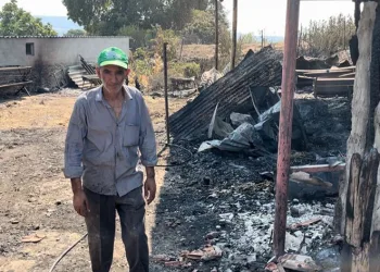 Hayvanlarını kurtarmak isterken yaralandı