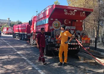 Gaziantep’te orman yangını
