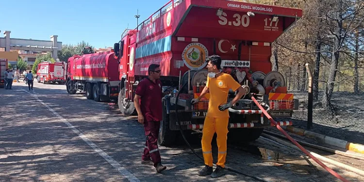 Gaziantep’te orman yangını