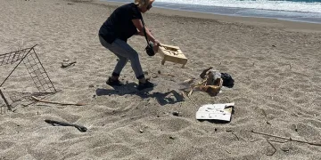 Caretta cartta yuvasının üzerinde mangal yaktılar