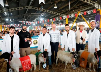 Festival için geri sayım başladı