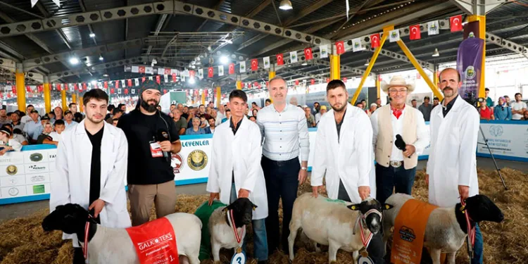 Festival için geri sayım başladı