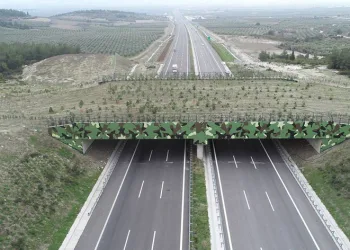 Doğal yaşamın umudu ekolojik köprüler
