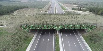 Doğal yaşamın umudu ekolojik köprüler