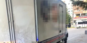 Geri manevra yapan kamyonetin altında kaldı