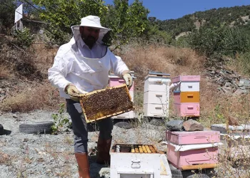 Sıcaklar aracılığı olumsuz etkiliyor