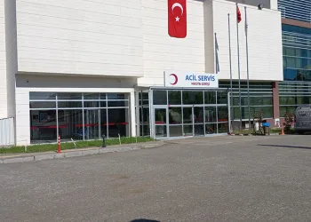 Akrebin soktuğu bebek yoğun bakıma alındı