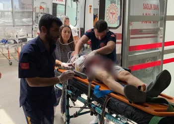 Camdan çıkarttığı kolu,araçların arasında parçalandı