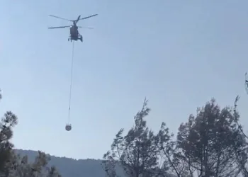 Bozuk ormanlık alanda yangın