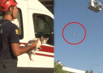 İntihar için çıktığı direk, kedisinin canına mal oldu