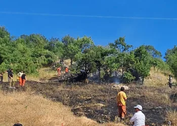 Orhaneli’de çıkan yangın söndürüldü