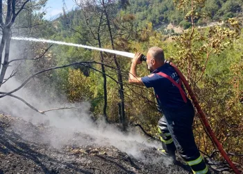 Hatay’da ikinci orman yangını