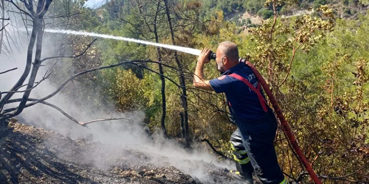Hatay’da ikinci orman yangını