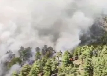 Antalya’da orman yangını