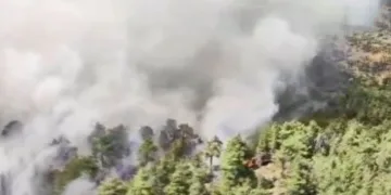 Antalya’da orman yangını