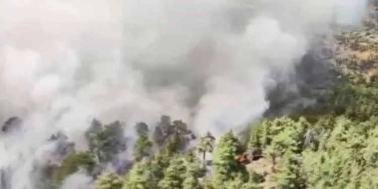 Antalya’da orman yangını