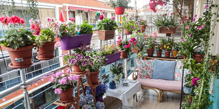 En güzel balkon bahçe