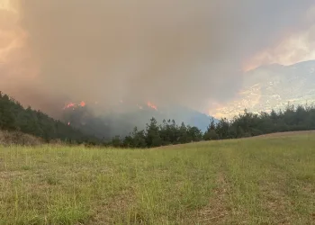 Bursa’da orman yangını