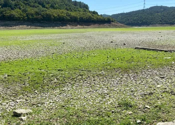 İstanbul’da şaşırtan görüntü
