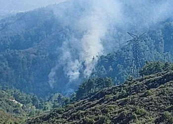 Hatay’da orman yangını