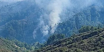 Hatay’da orman yangını
