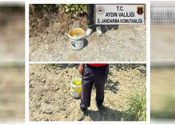 İncir hırsızlarını jandarma suçüstü yakaladı