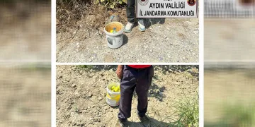 İncir hırsızlarını jandarma suçüstü yakaladı