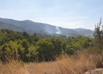 Bursa’da ormanlık alanda çıkan yangın söndürüldü