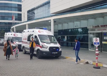 Domuz zannettiği yengesini ağır yaraladı