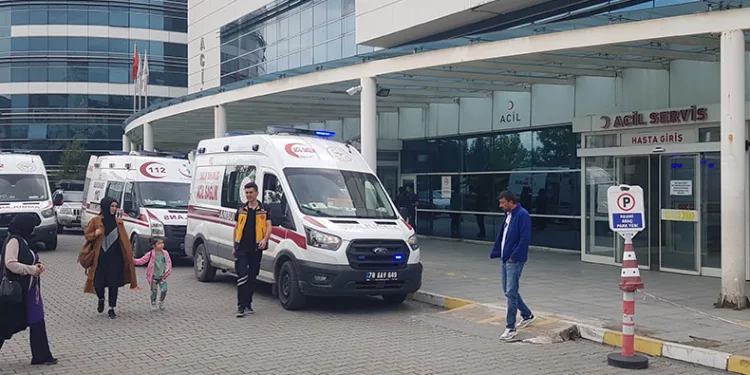 Domuz zannettiği yengesini ağır yaraladı