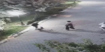 Yaşlı kadına köpek saldırdı