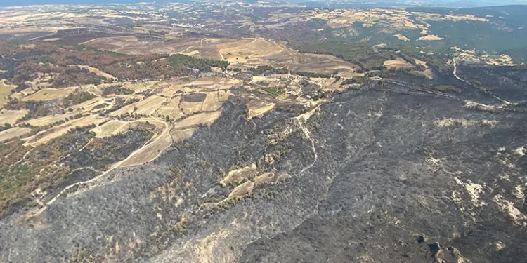 Acı tablo havadan görüntülendi