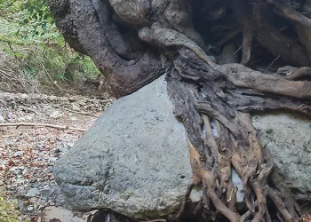 2 tonluk kayayı askıda tutuyor