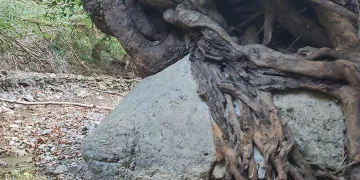2 tonluk kayayı askıda tutuyor