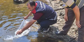 934 bin sazan suyla buluştu