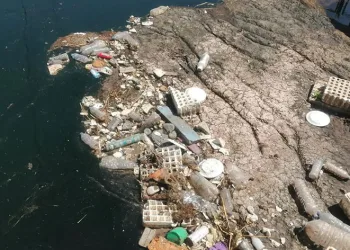 Sulama kanalında erkek cesedi bulundu