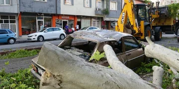 Asırlık ağaç hasar oluşturdu