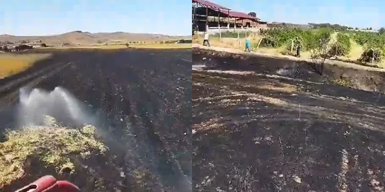 Elazığ’da samanlık ve arazi yangını