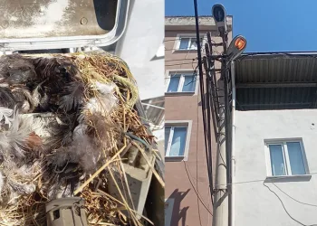 Yuva zarar görmesin diye yeni armatür taktılar
