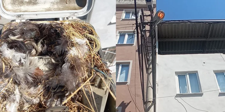Yuva zarar görmesin diye yeni armatür taktılar
